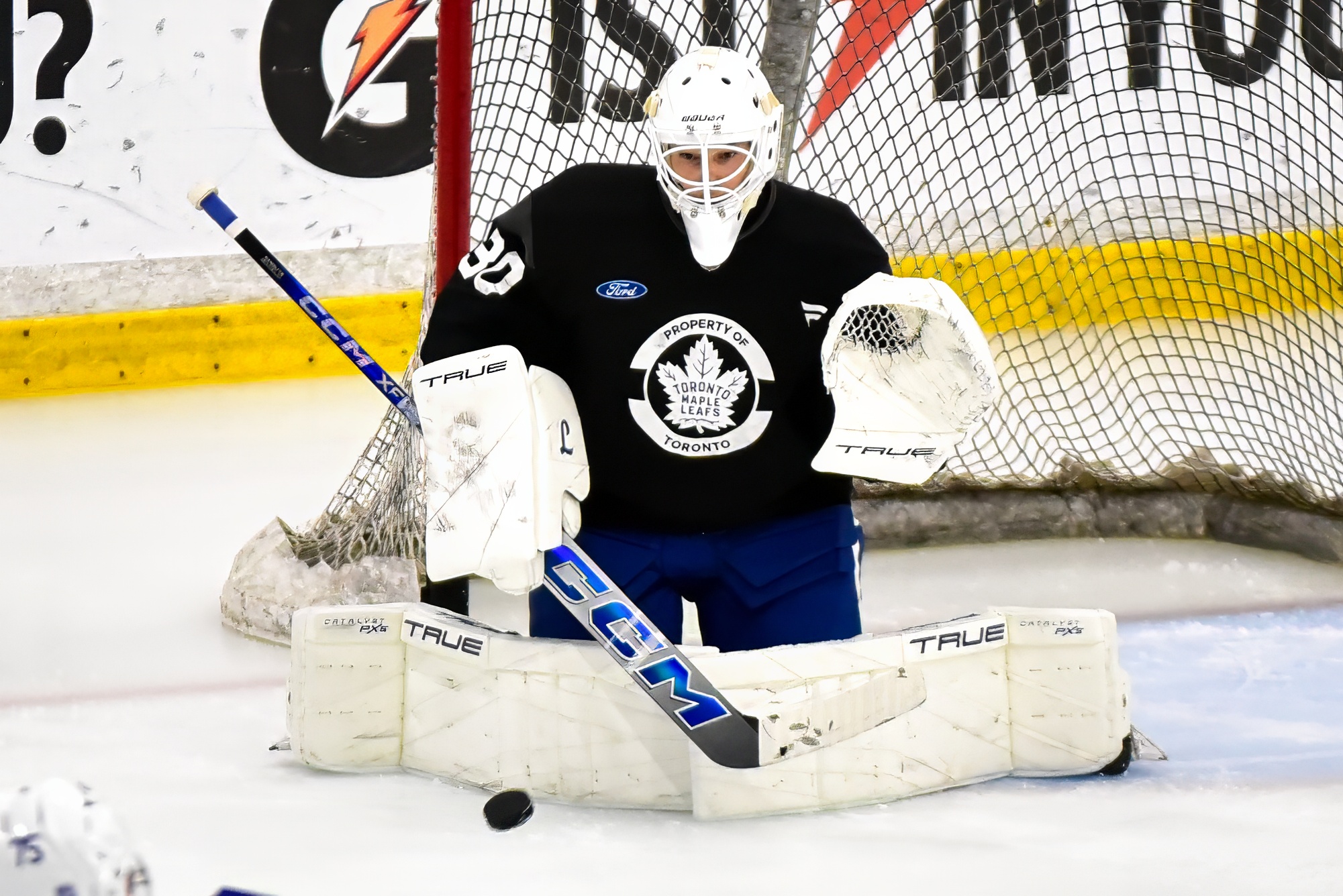 Maple Leafs sign prospect goaltender Timofei Obvintsev to 1-year AHL contract